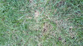 K800_20160803_202640.webp K800_20160803_202640.webp