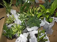 001_1024x768.webp