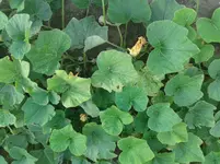 20160803_180823.webp