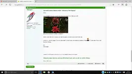 Bearbeiten - gelöst.webp