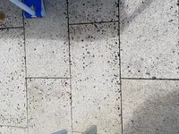 Terrasse.webp