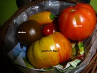 P1040544.webp