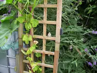 100_2064.webp 100_2064.webp