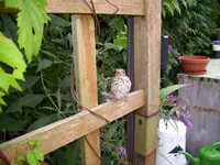 100_2075.webp 100_2075.webp