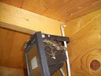 100_2079.webp 100_2079.webp