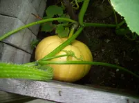 100_2065.webp 100_2065.webp