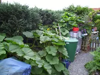 100_2072.webp 100_2072.webp