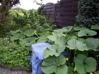 100_2073.webp 100_2073.webp