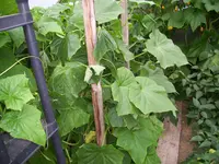 100_2069.webp 100_2069.webp