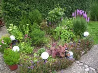 100_2060.webp 100_2060.webp