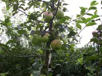 100_2061.webp 100_2061.webp