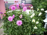 100_2062.webp 100_2062.webp