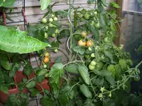 100_2078.webp 100_2078.webp