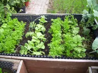 100_2080.webp 100_2080.webp