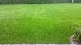 20160804_192656.jpg