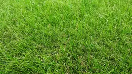 20160804_192712.webp