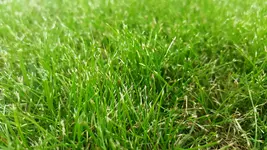 20160804_192735.jpg