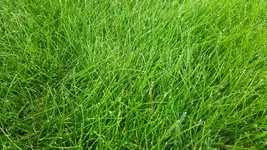 20160804_192754.webp