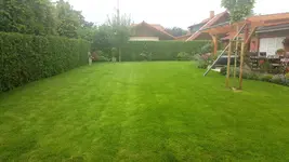 20160804_192837_001.webp