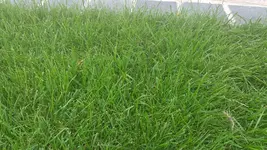 20160804_192901.jpg