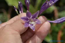 comp_DSC05594.webp