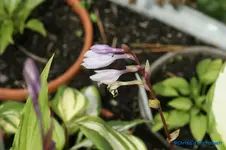comp_DSC05597.webp