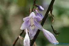 comp_DSC05600.webp