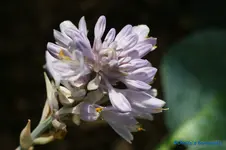 comp_DSC05603.webp