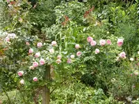 P1220028.webp