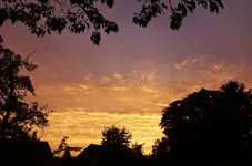 SoUAug16 (1).webp