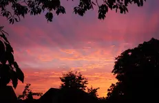 SoUAug16 (2).webp