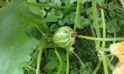 20160804_200616.jpg