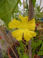 P1220280.webp