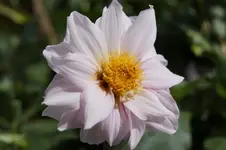 _DSC0862.webp