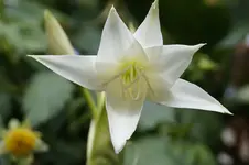 _DSC0869.webp