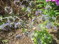 001.webp