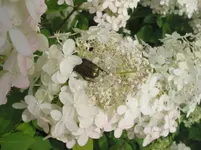 013.webp