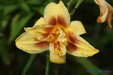comp_DSC05608.webp
