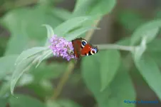 comp_DSC05612.webp