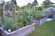 2016-08-03 Hochbeete.webp