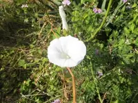 Bilda048.webp