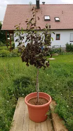 IMG_20160806_135913301.webp