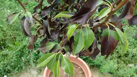 IMG_20160806_140002412.webp