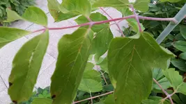 20160806_192617.webp