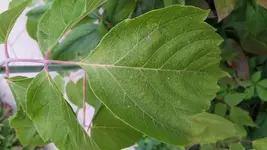 20160806_192635.webp