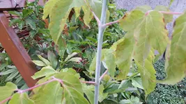20160806_192646.webp