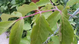 20160806_192649.webp