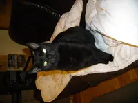 IMGP3093.webp