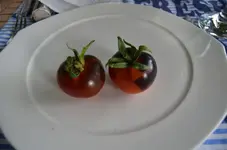 2016-07-30 Blueberry.webp