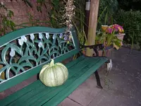 062.webp